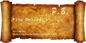 Pits Belizár névjegykártya